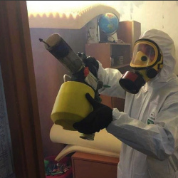 Уничтожение клопов в квартире. Лиговский проспект